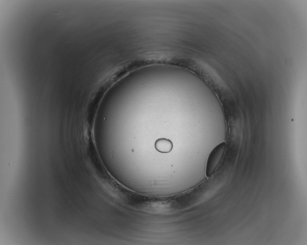 X0000115680692200911191054