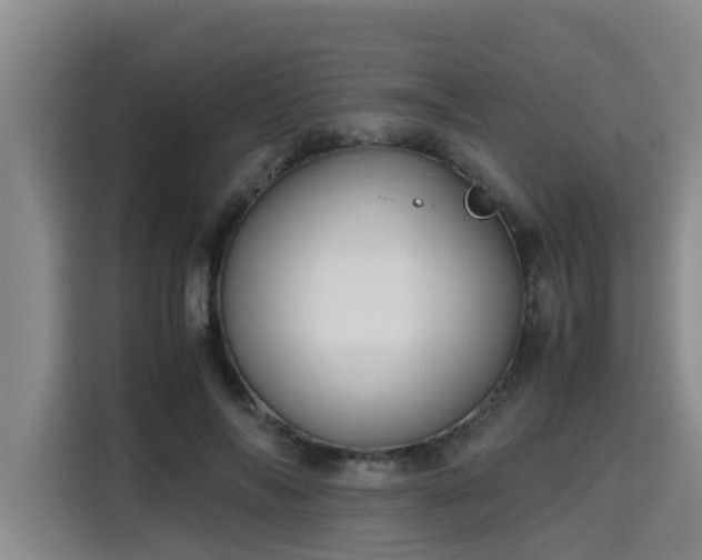 X0000115680694200911191054