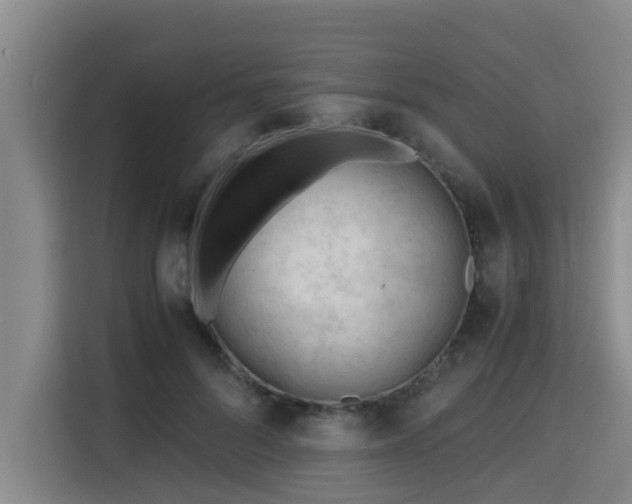 X0000115680696200911191054