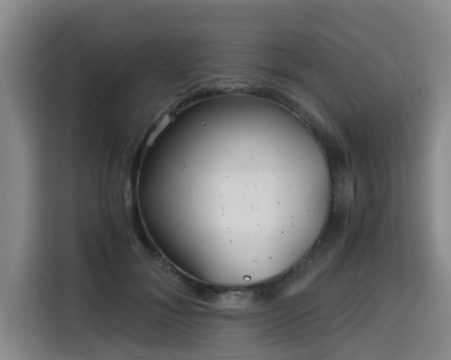 X0000115680700200911191054