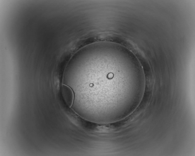 X0000115680703200911191054