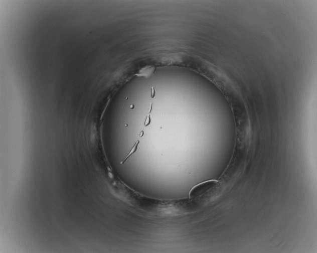 X0000115680704200911191054