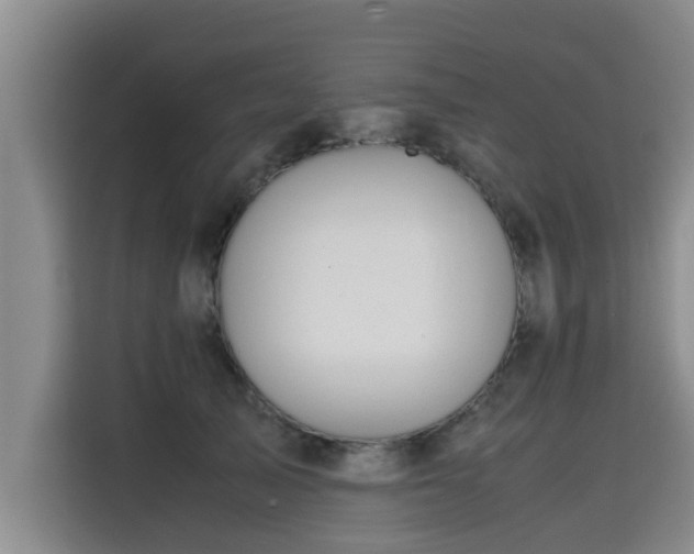 X0000115680705200911191054