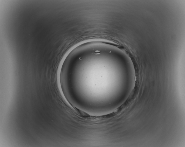 X0000115680709200911191054