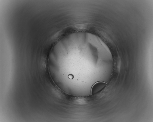 X0000115680710200911191054