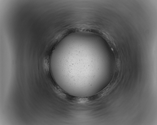 X0000115680719200911191054