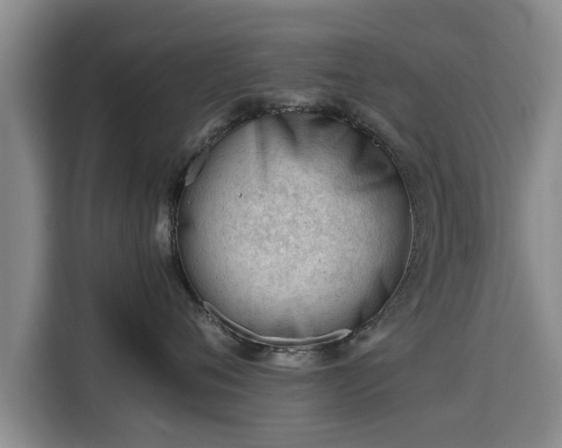 X0000115680720200911191054