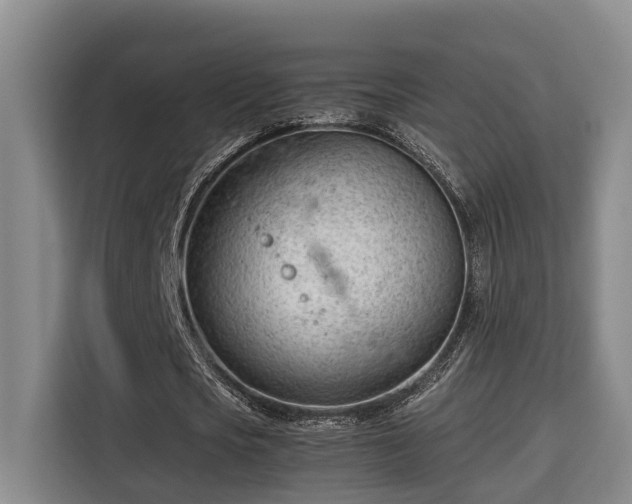 X0000115680721200911191053