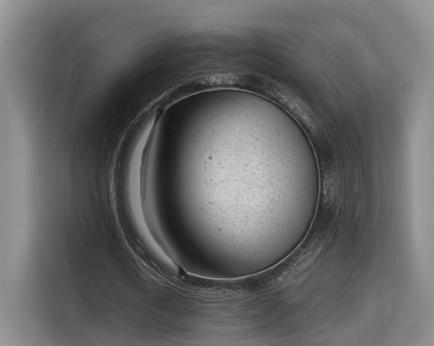 X0000115680722200911191053