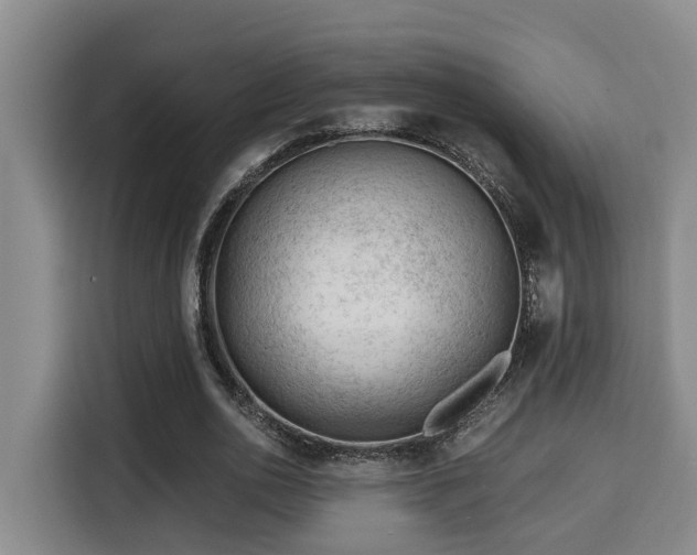 X0000115680726200911191053