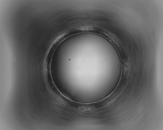 X0000115680727200911191053