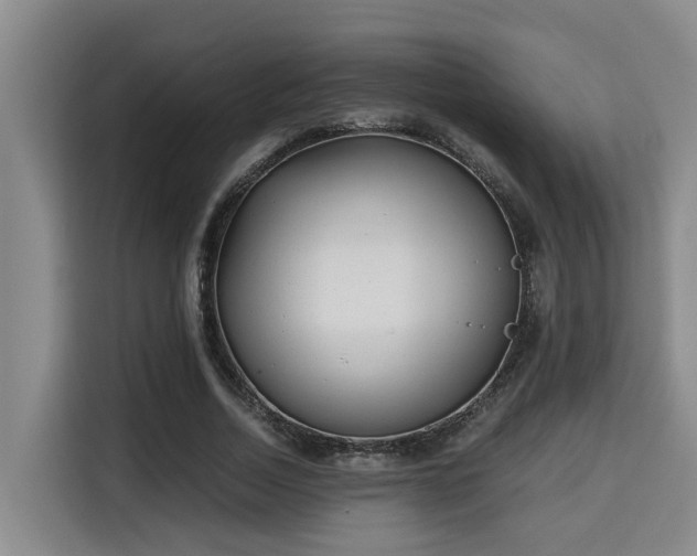 X0000115680730200911191053