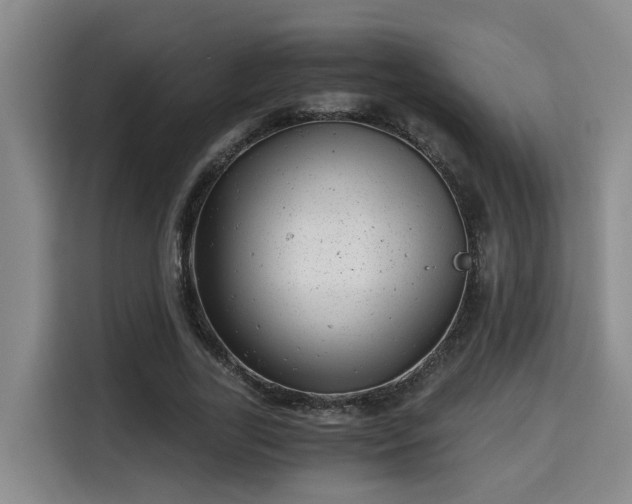 X0000115680731200911191053