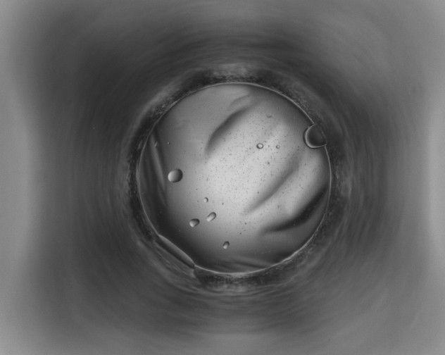 X0000115680735200911191053