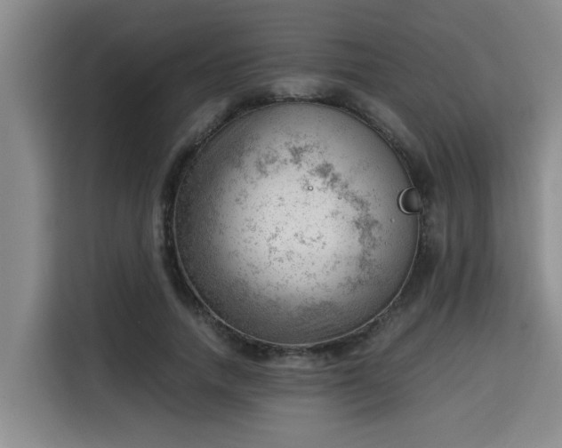 X0000115680738200911191053