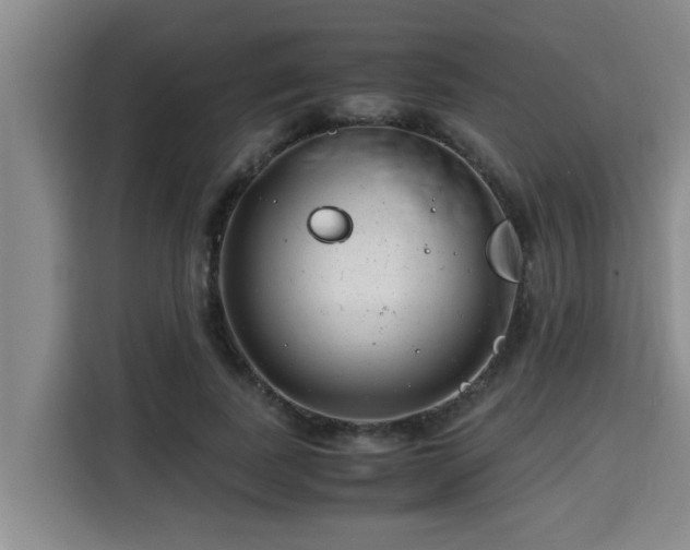 X0000115680739200911191053