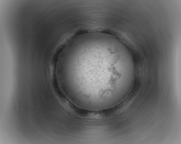 X0000115680742200911191053