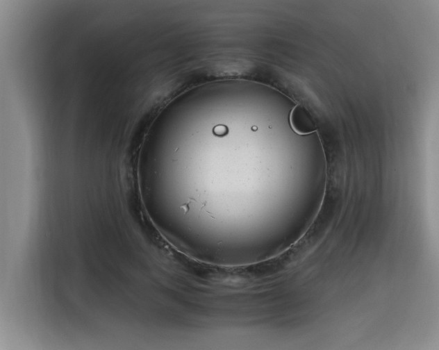 X0000115680743200911191053