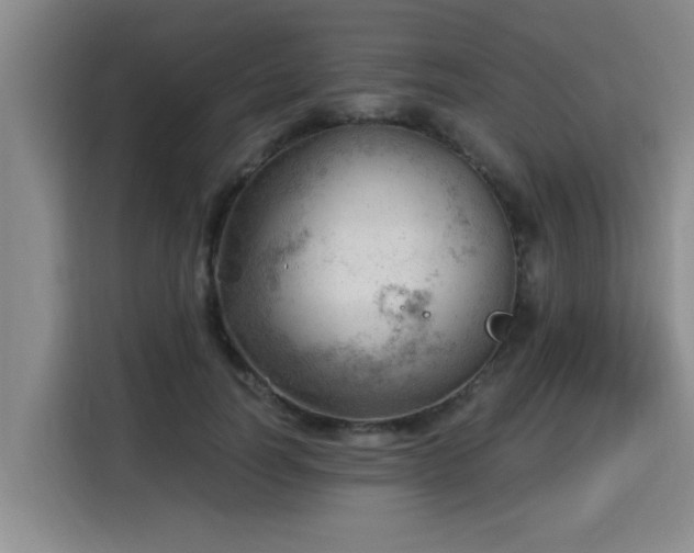 X0000115680746200911191053