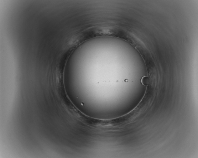 X0000115680747200911191053