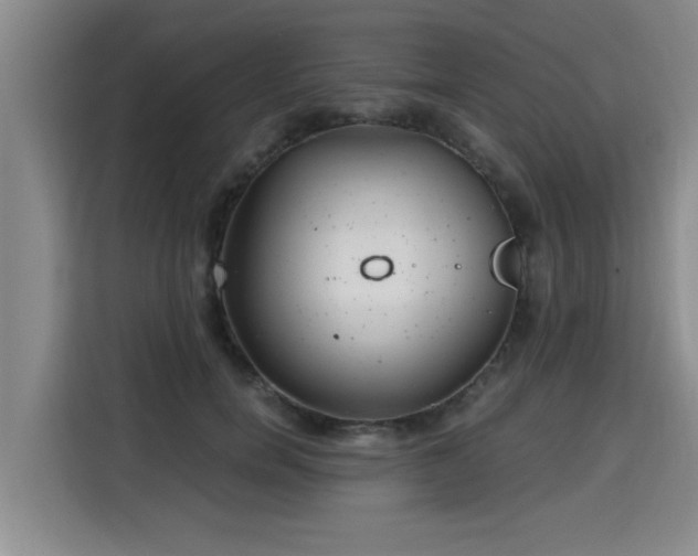 X0000115680750200911191053