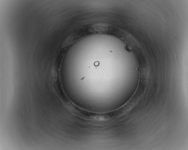 X0000115680751200911191053