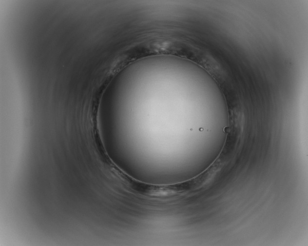 X0000115680754200911191053