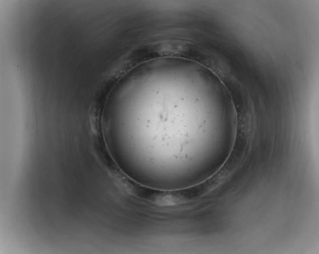 X0000115680755200911191053