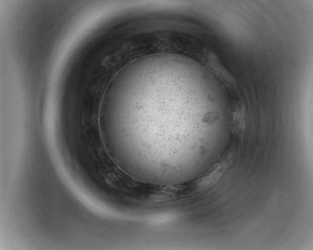 X0000115680765200911191054