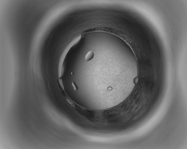 X0000115680766200911191054