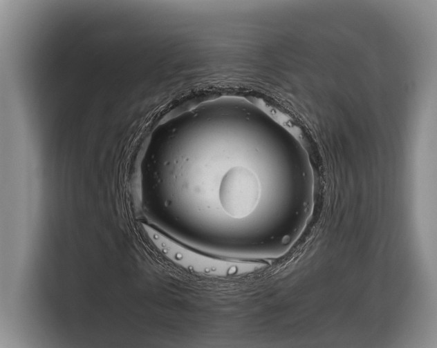 X0000115680769200911191053