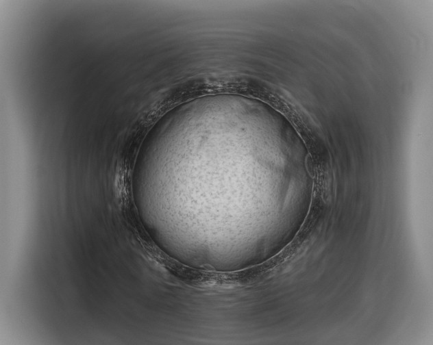 X0000115680770200911191053