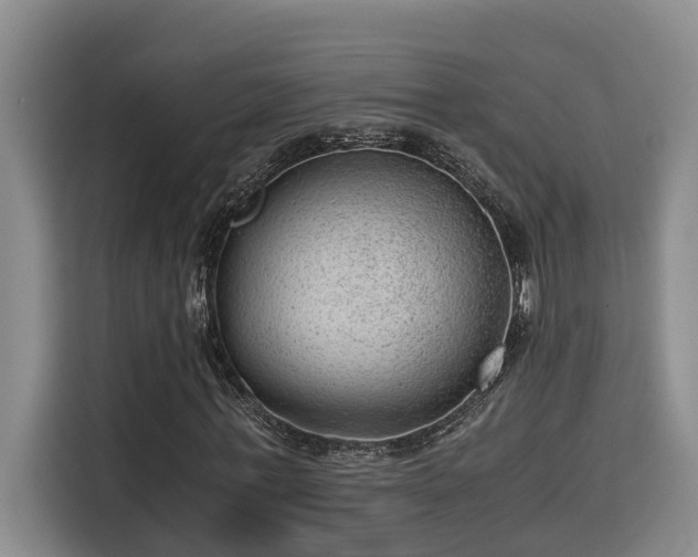 X0000115680771200911191053