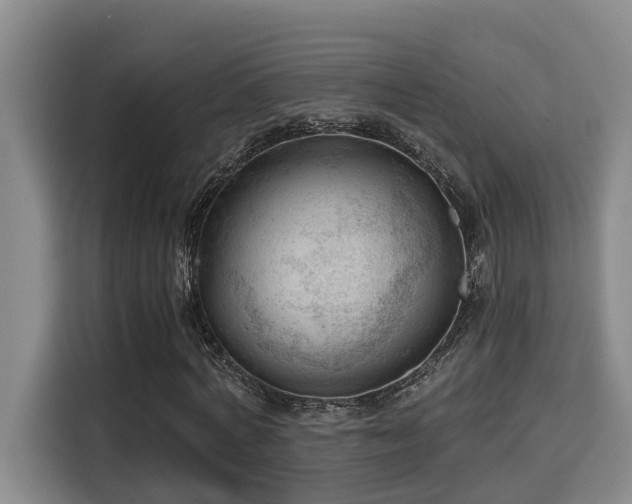 X0000115680772200911191053