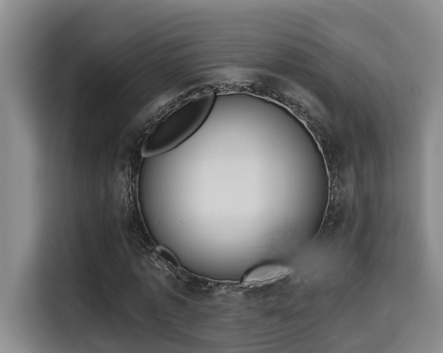 X0000115680773200911191053