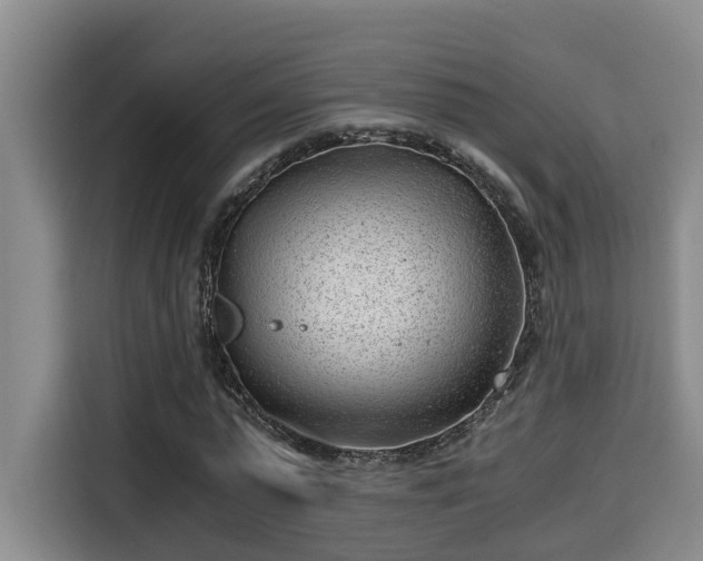 X0000115680775200911191053