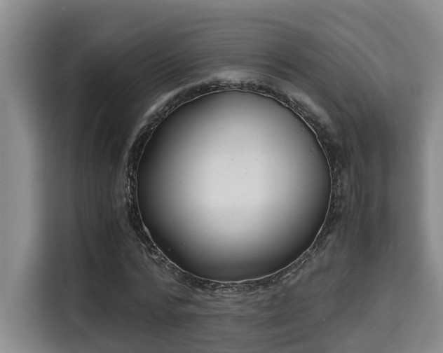 X0000115680776200911191053