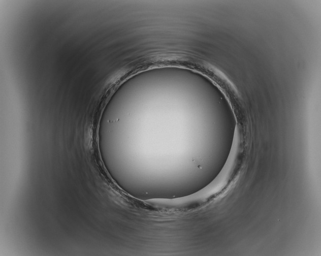 X0000115680777200911191053