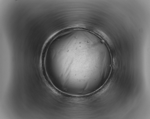 X0000115680780200911191053