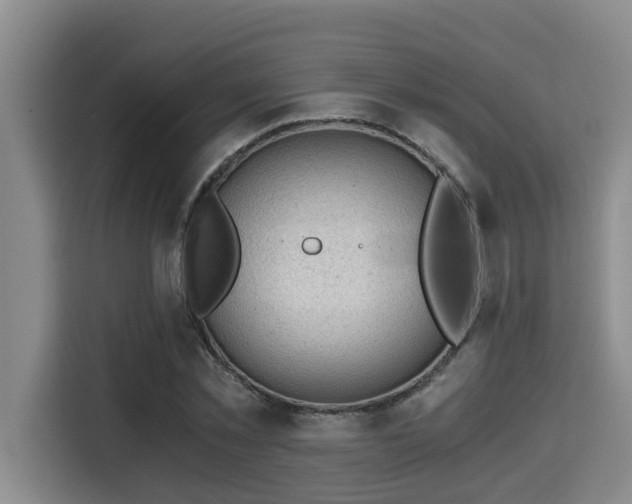 X0000115680781200911191053