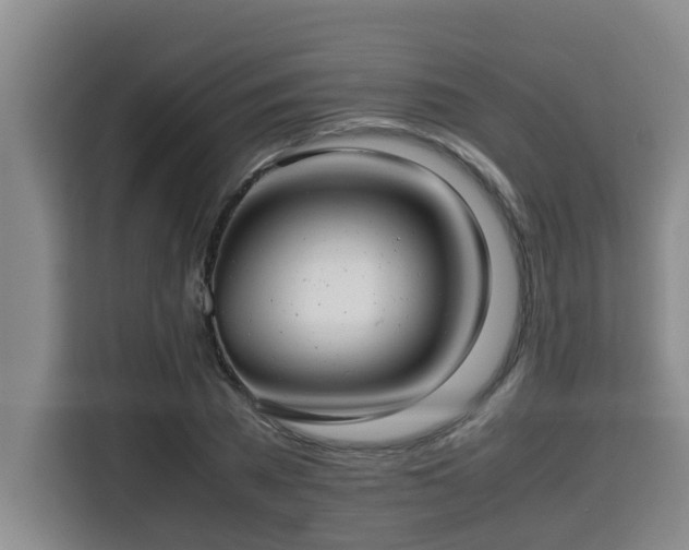 X0000115680785200911191053