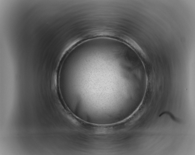 X0000115680790200911191053