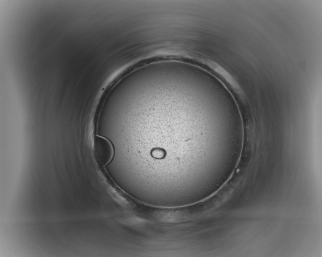 X0000115680791200911191053