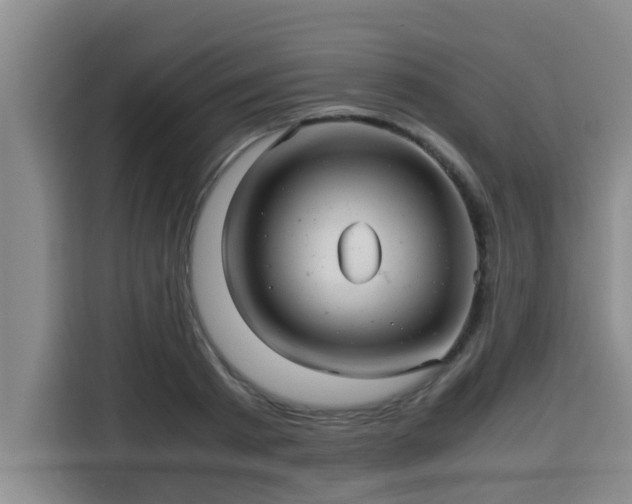 X0000115680793200911191053