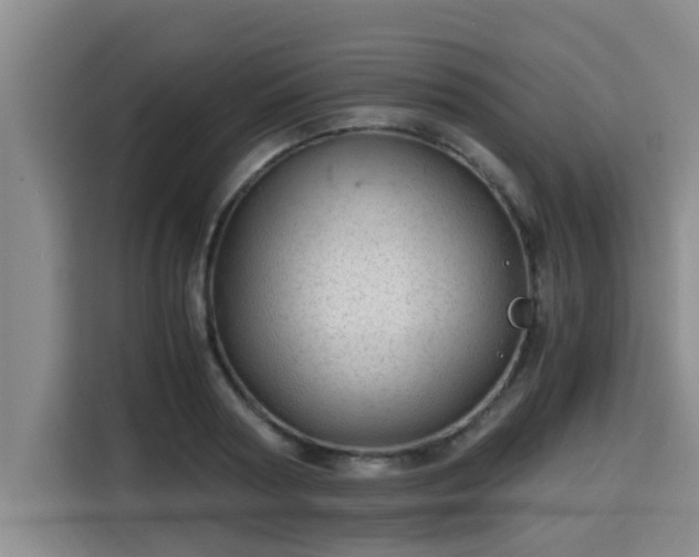 X0000115680794200911191053