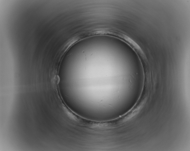 X0000115680801200911191053