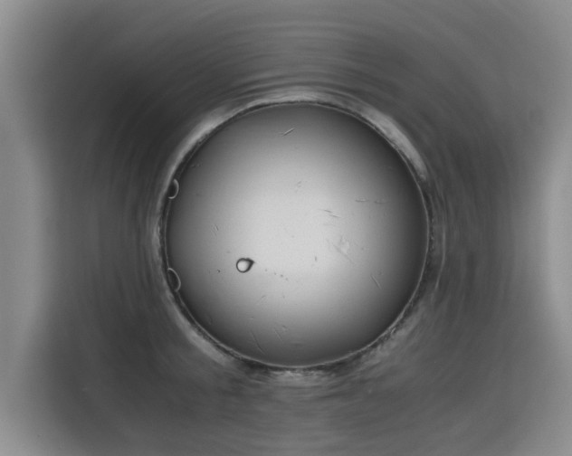 X0000115680805200911191053