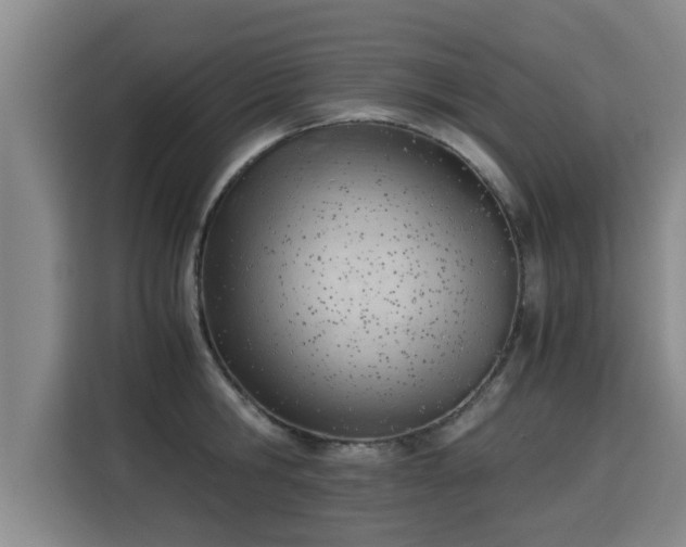 X0000115680806200911191053