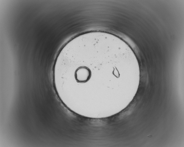 X0000115680807200911191052