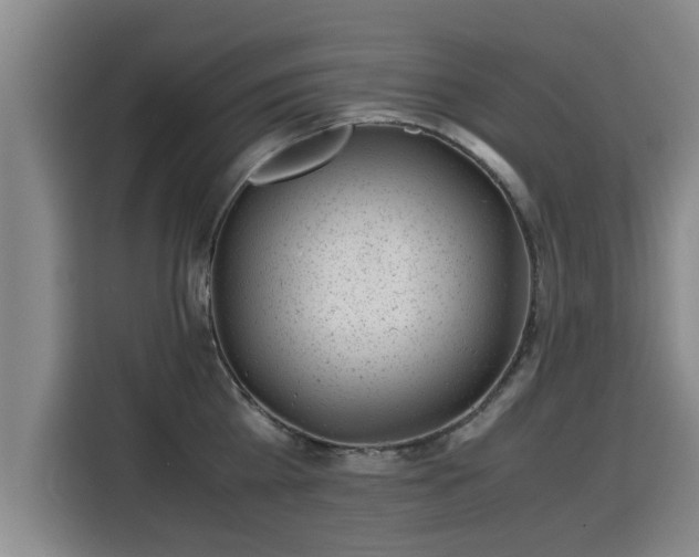 X0000115680809200911191052